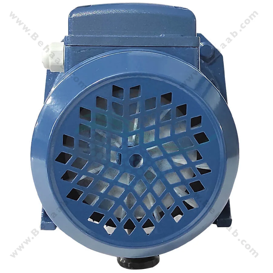 پمپ آب یک اسب ریوال مدل JX100 PPO - Rival 1 HP Water Pump JX100 PPO