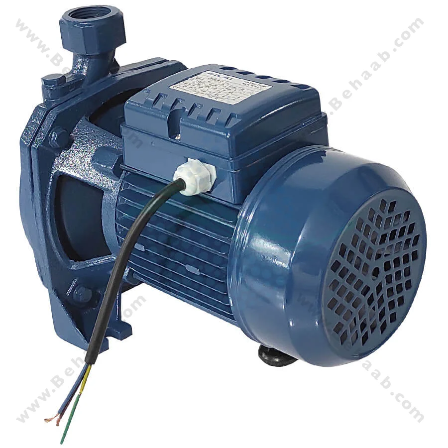 پمپ آب یک اسب ریوال مدل QX100 PPO - Rival 1 HP Water Pump QX100 PPO