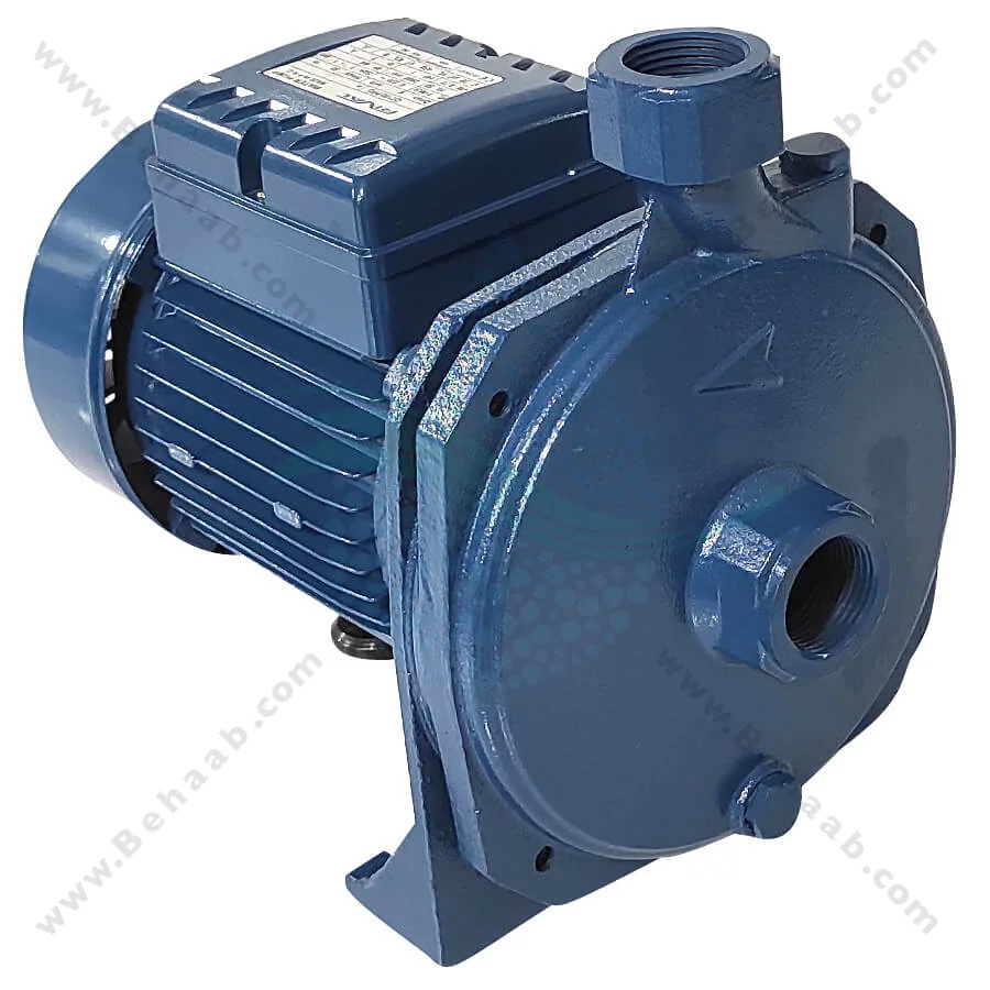 پمپ آب یک اسب ریوال مدل QX100 PPO - Rival 1 HP Water Pump QX100 PPO