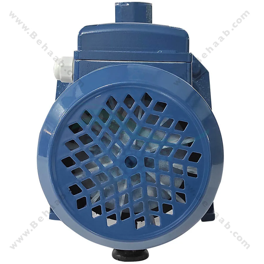 پمپ آب یک اسب ریوال مدل QX100 PPO - Rival 1 HP Water Pump QX100 PPO