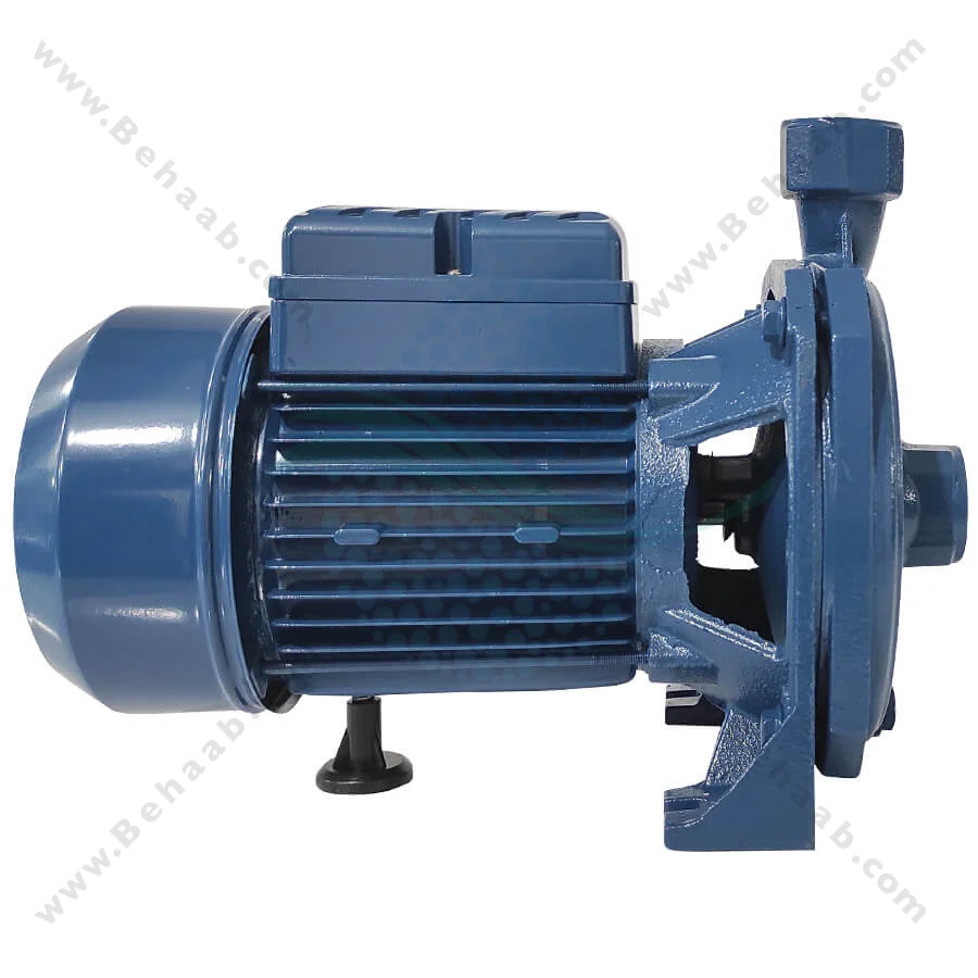 پمپ آب یک اسب ریوال مدل QX100 PPO - Rival 1 HP Water Pump QX100 PPO