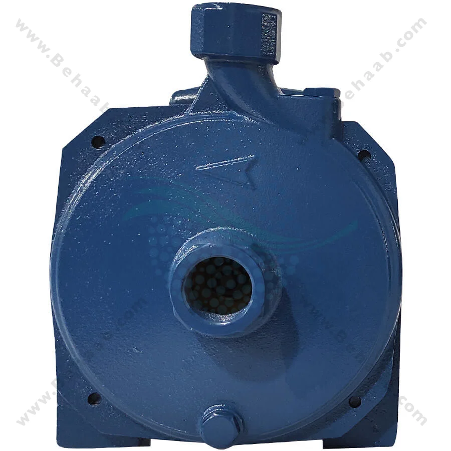 پمپ آب یک اسب ریوال مدل QX100 PPO - Rival 1 HP Water Pump QX100 PPO
