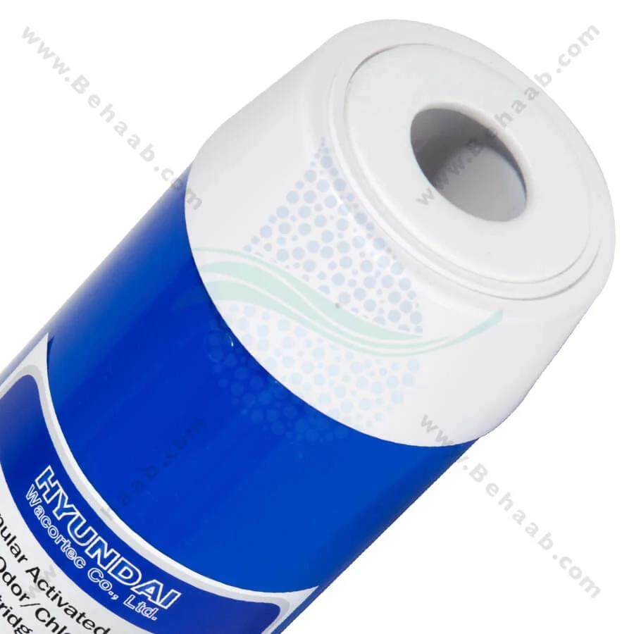 فیلتر کربن پودری هیوندای - Hyundai GAC Filter 10 Inch